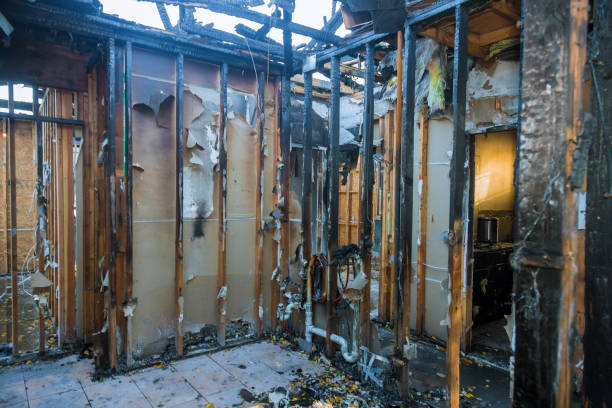 Professional Fire Damage Removal technician working in Lake Erie Beach, NY